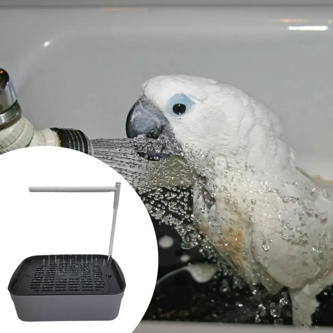 BAÑO AUTOMÁTICO PARA TU PÁJARO: SU MOMENTO FAVORITO DEL DÍA