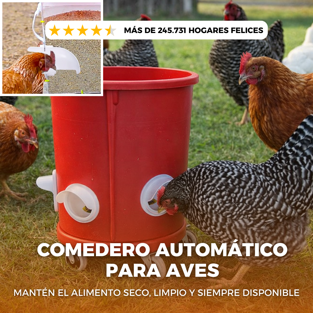 Kit de comedero AutoFeed anti-desperdicio para aves