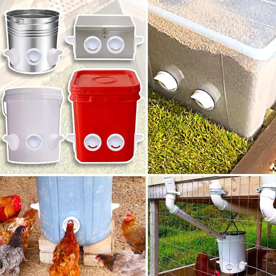 Kit de comedero AutoFeed anti-desperdicio para aves