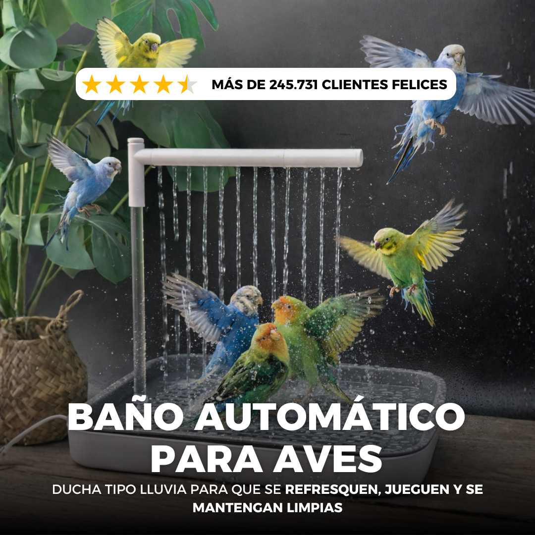 BAÑO AUTOMÁTICO PARA TU PÁJARO: SU MOMENTO FAVORITO DEL DÍA