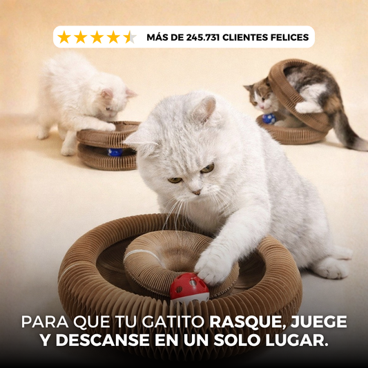 Juguete Rascador de Gato Tipo Acordeón