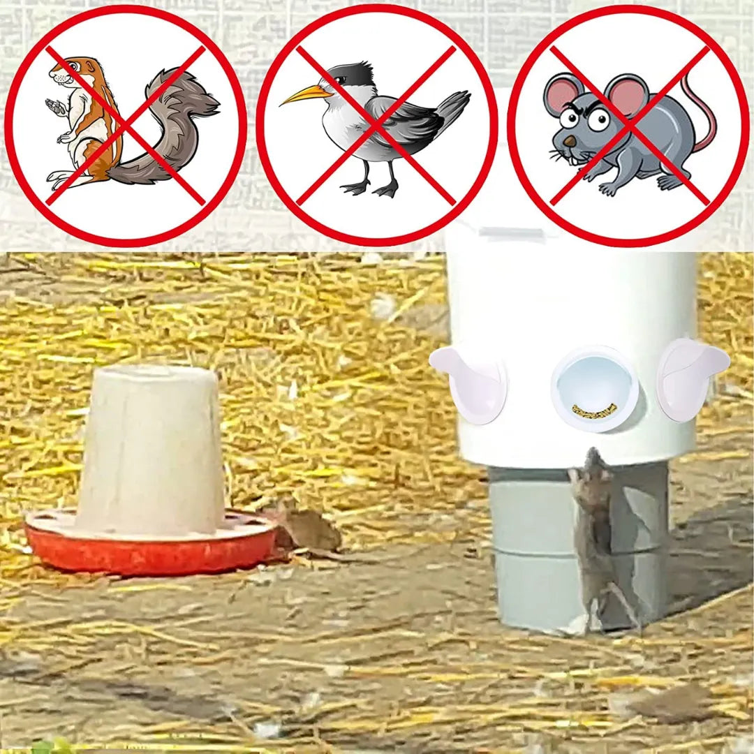 Kit de comedero AutoFeed anti-desperdicio para aves