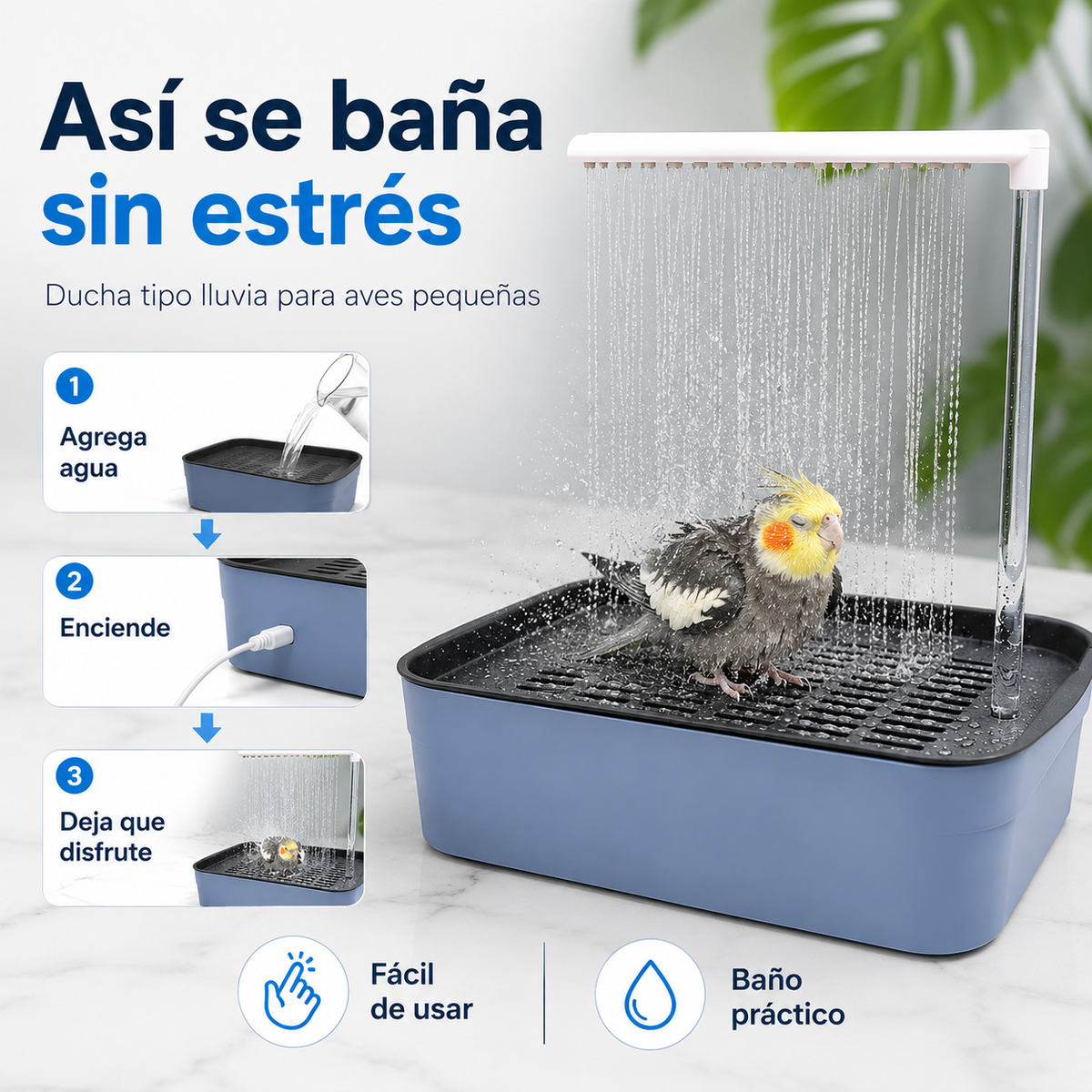 FUENTE DE AVES: HAZ QUE TUS PAJAROS CANTEN FELICES