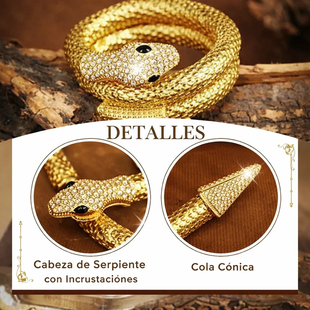 Joya Serpiente 2 en 1 Collar y Brazalete