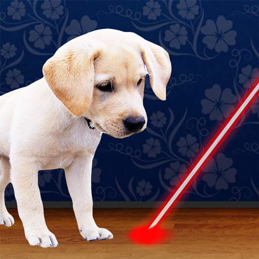 COLLAR LASER PARA PERROS