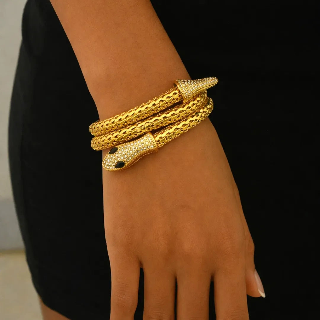 Joya Serpiente 2 en 1 Collar y Brazalete