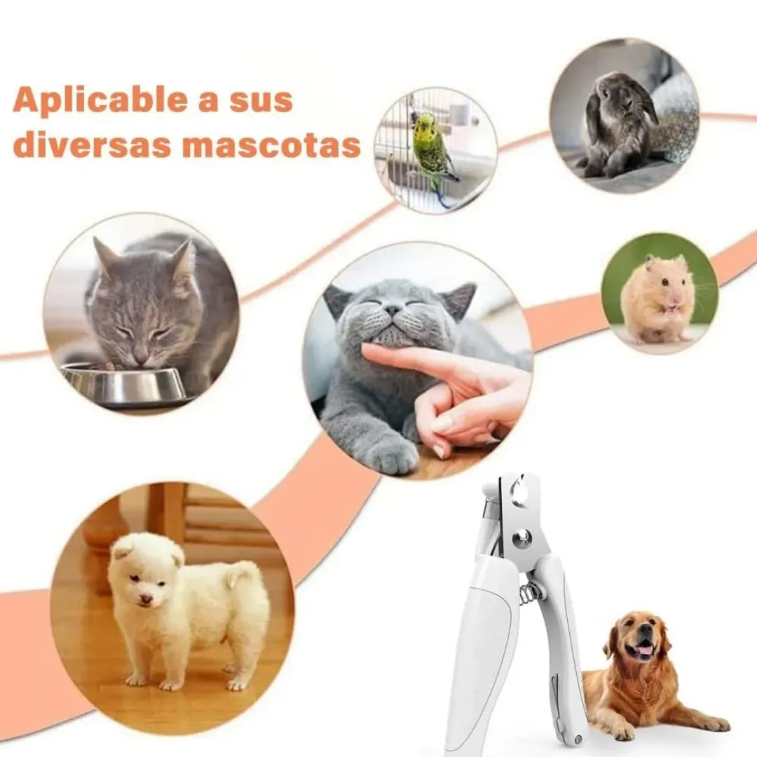 Córtale las uñas sin miedo: la luz LED te muestra dónde cortar