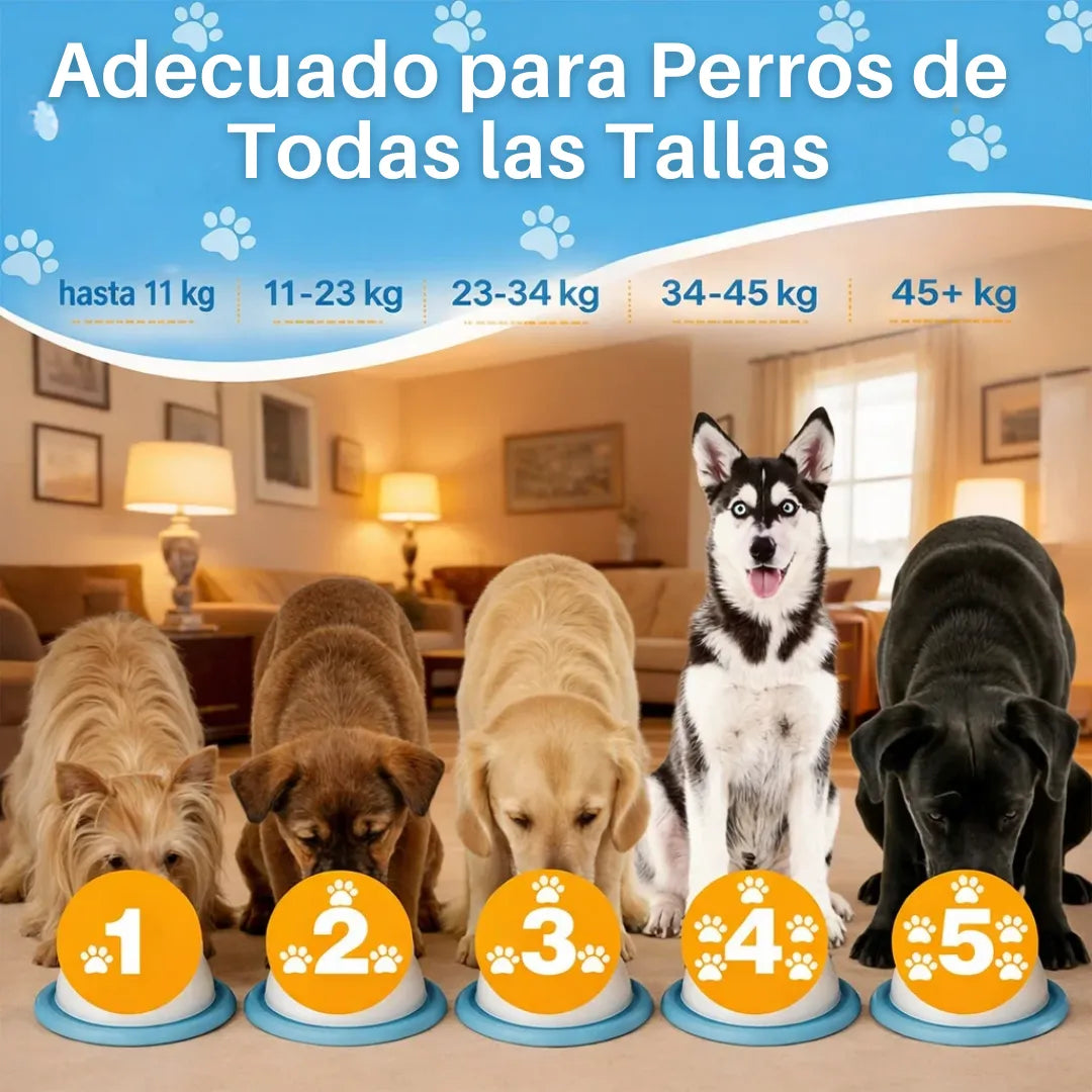 Esfera Antiestrés para Mascotas