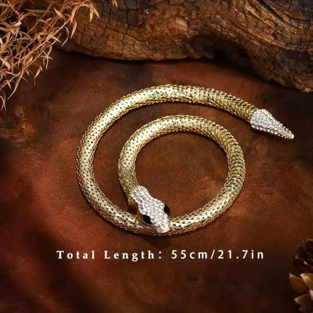 Joya Serpiente 2 en 1 Collar y Brazalete