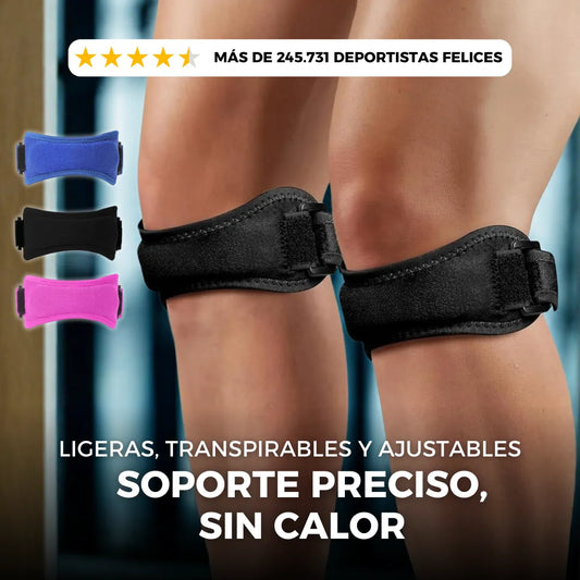 Bandas Rotulianas iKnow