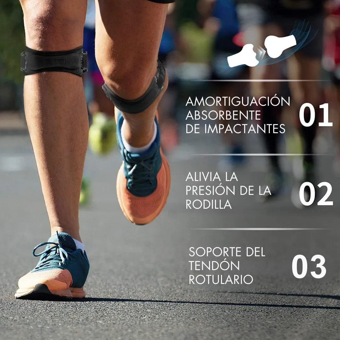 Bandas Rotulianas iKnow