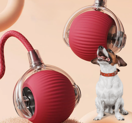 BOLA CORREDORA PARA PERROS Y GATOS
