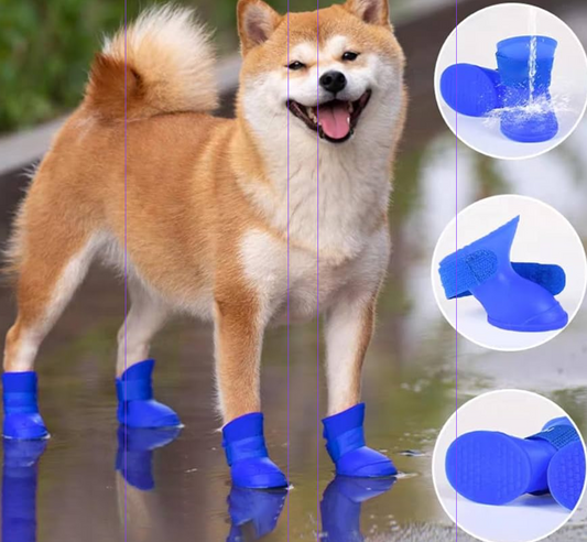 Zapatos para perros mayores