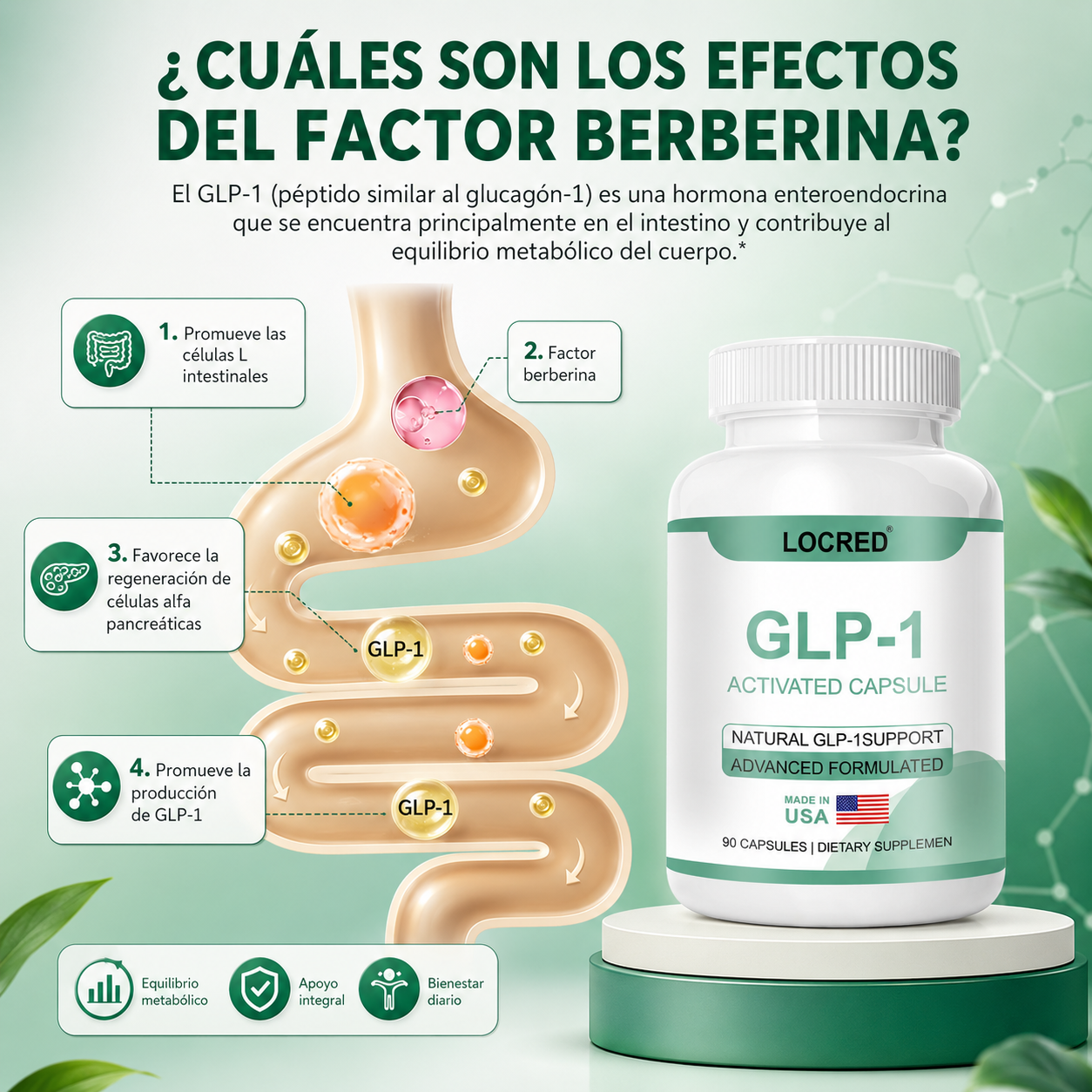 GLP-Activate - la hormona de la saciedad ahora en capsulas