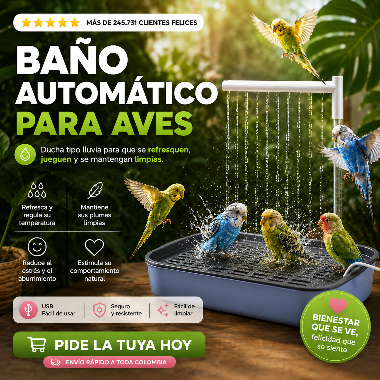 BAÑERA DE AVES: FRESCURA NATURAL EN CASA