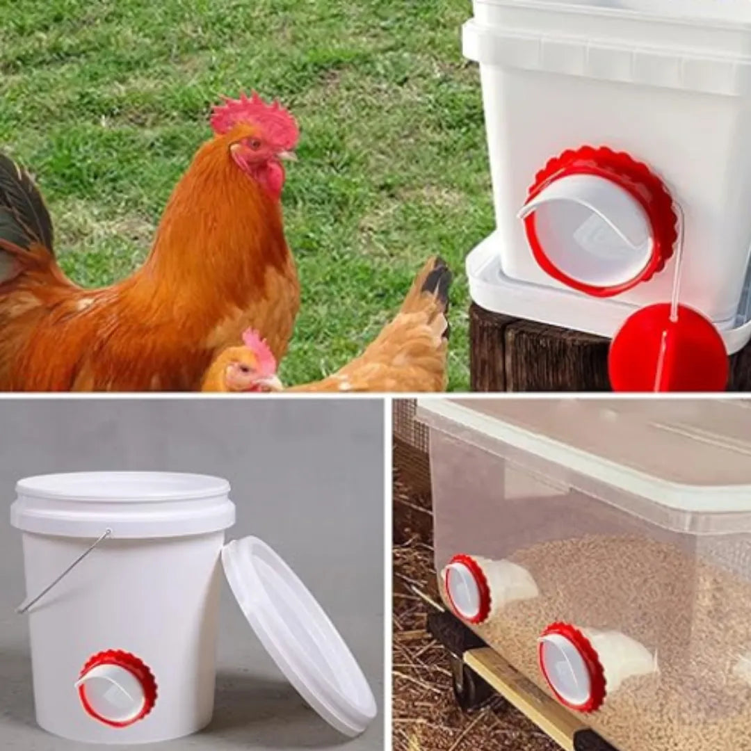 Comedero AutoFeed Anti-Desperdicio Para Aves de Corral